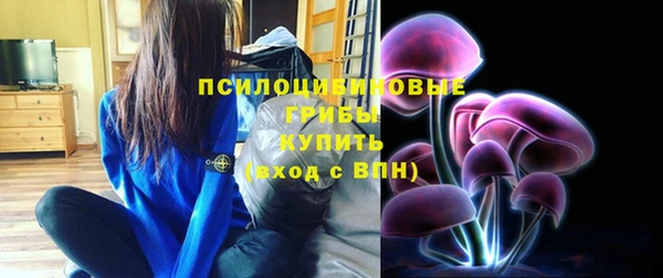твердый Бежецк