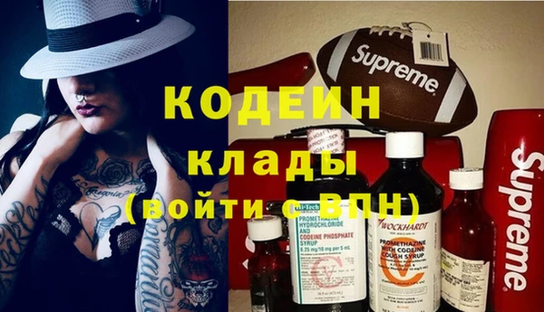 шишки Краснотурьинск