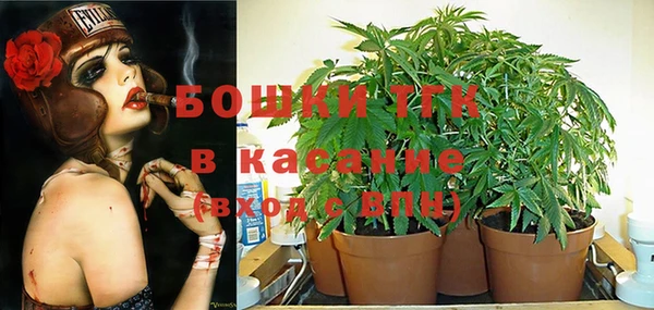 первитин Краснослободск
