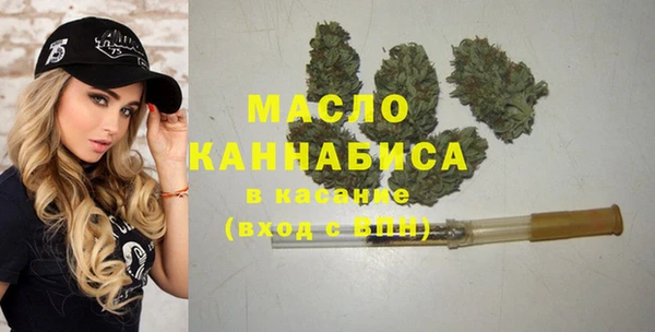 шишки Краснотурьинск