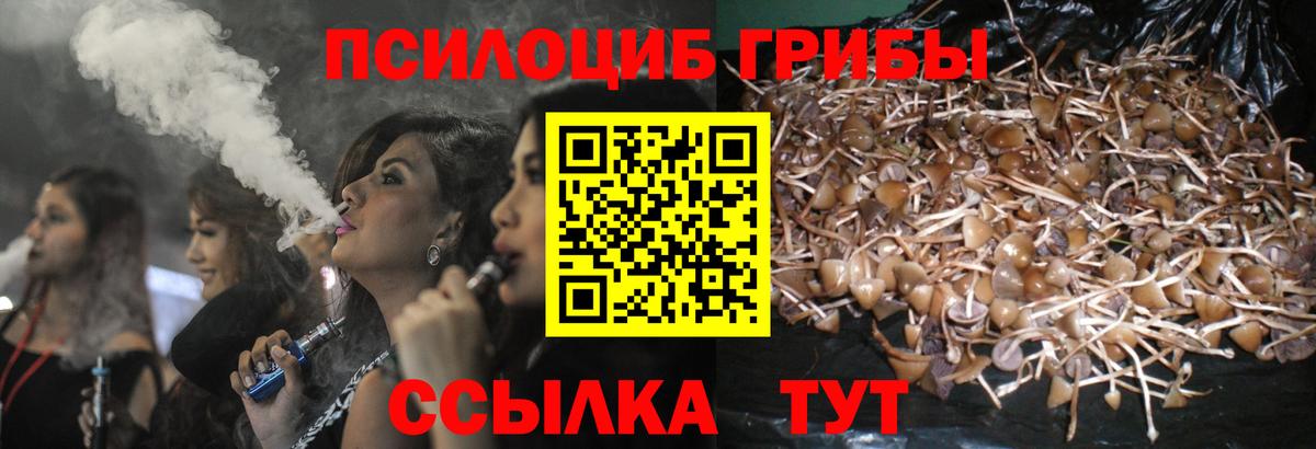 Галлюциногенные грибы ЛСД Курчалой