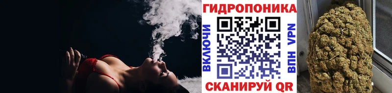 Марихуана MAZAR  где можно купить   Курчалой 